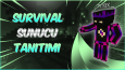 Banner tasarımları