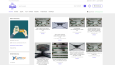 Web Site Klonlama ve Özgünleştirme