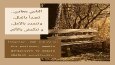 Profesyonel Arapça - Türkçe Çeviri 