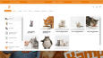 Shopify Web Sitesi Taşıma