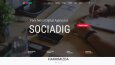 Wordpress Website Portfolio
