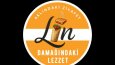 Lin - Konsept Logo Tasarımı