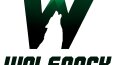 Logo Portfolio 1