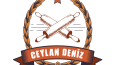 LOGO TASARIMLARI