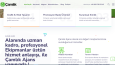Çamlık Ajans şirketi için web tasarımım