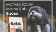 Petshop Sosyal Medya Gönderi Tasarımı