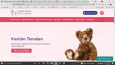Anahtar Teslim Web Sitesi