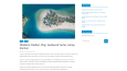 Wordpress Site tasarımı
