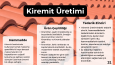 💼 İş Dünyası İçin Şık ve Profesyonel Sunumlar