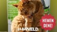 Harveld - Sosyal Medya Tasarımları