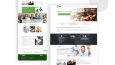 UI/UX Design