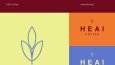 HEAI & HAVV — Logo ve Mini Marka Kiti