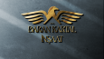 Logo Çalışmaları