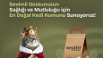 Sosyal Medya