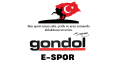 DUVAR RESİMLERİ VE AFİŞ TASARIMLARIM