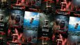 Shark Nutrition