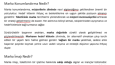 SEO İçerik - Metin Yazarlığı Portfolyosu