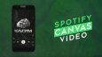 SPOTIFY CANVAS