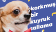 Sosyal Medya Post Tasarımları