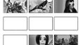 Storyboard