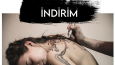 Tattoo işletmesi için sosyal medya tasarımları