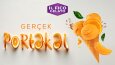 sosyal medya ve logo tasarımları