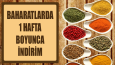 Firma Broşür Tasarımı