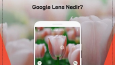 Social Media Design
