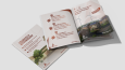 Katalog/Broşür Tasarımları