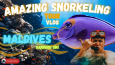YouTube Video Başlığı