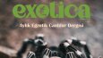 Exotica Dergi Kapağı Seri Tasarımları