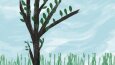Digital Illustrations and Visual Narratives