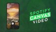 SPOTIFY CANVAS