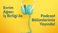 Bionluk İçin Yapılan Tasarım Çalışmaları