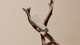 ROOT I Skincare