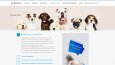Pet Love 