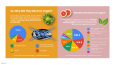 Data Visualizations -ST