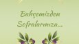 Zytin- Instagram Gönderisi