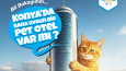 Post Tasarımları