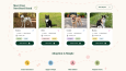 FurryFinder — Pet Adoption Website