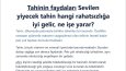 Yüksek Seo Puanlı Özgün Yazılar