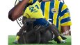 Fenerbahçe Illustrations Contents