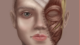 İllüstrasyonlarım
