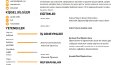Göz Alıcı Cv Tasarımları 