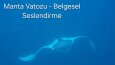 Manta Vatozu Belgesel Seslendirme