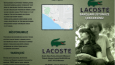 Lacoste - Afiş & Broşür Tasarımlar