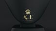 ACE - GOLD & SILVER JEWELRY LOGO TASARIMI