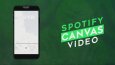 SPOTIFY CANVAS