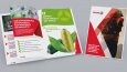 Katalog, İlan ve Broşür Tasarımları