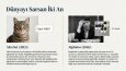 Profesyonel ve Etkileyici Sunum Tasarımları